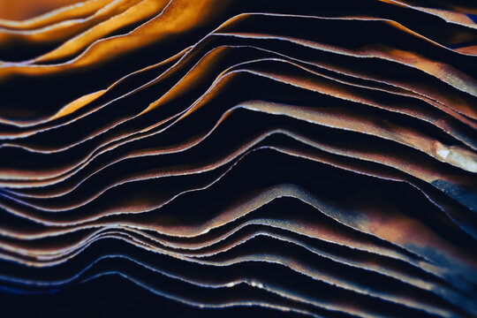 Metallic Crinkled Paper Abstract