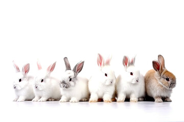 Fototapeta premium White Rabbits , Whimsical Easter Rabbits in Different Shades on a Clean White Background for Playful Holiday Ambience - Generative AI 