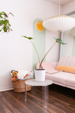 Cute texture in studio interior design