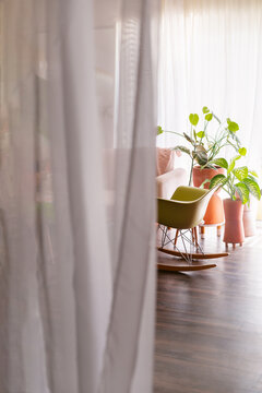 Thru the window Studio corner with plants