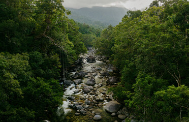 Mossman gorge river