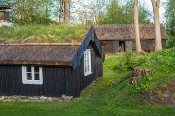 Fototapeta na wymiar Cottage with thatched roof an a barn