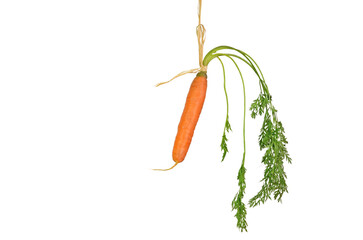 carrot rope isolated background green leaves