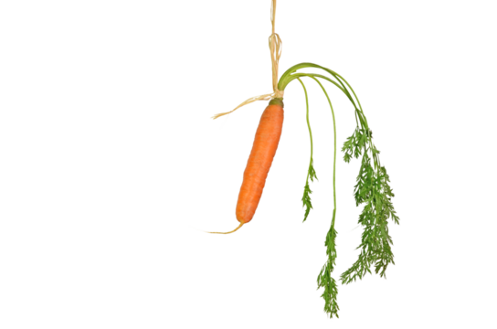 carrot rope isolated background green leaves