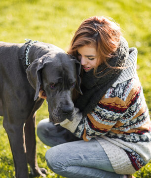 Young woman caressing great dane at the park