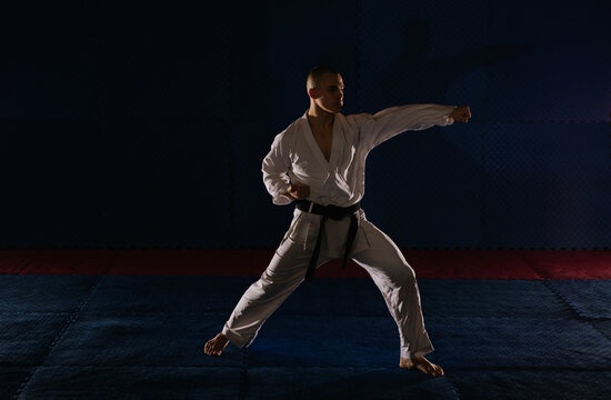 Karatist doing karate pose