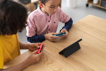 Crop brothers playing video game at home