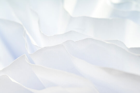 Paper Petals A Delicate White Paper Abstract
