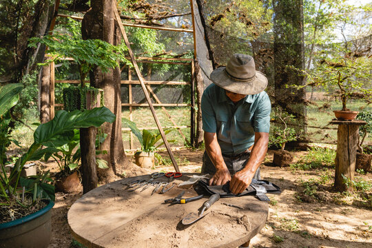 Gardener at work. 