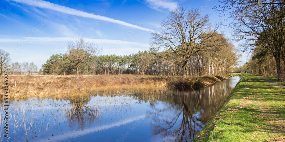 Wall mural Panorama of a little pond in the nature area Drents-Friese Wold, Netherlands