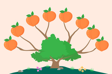 Infographic Mind Map Vector