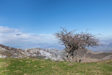 Bergsee Covadonga im Nationalpark Picos de Europa in Asturien in Nordspanien 