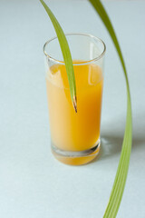 a glass of tropical fruit juice, palm leaves, copy space