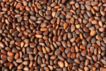pine nuts in the shell, food background