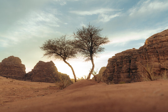Tabuq desert during sunset