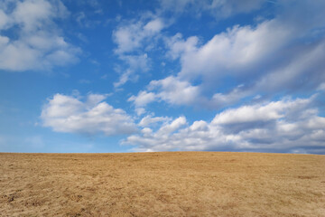 Fototapeta na wymiar Wiosenne tło, błękitne niebo.