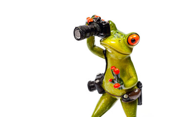 Ceramic figurine of a photographer's frog with two cameras on a white background.