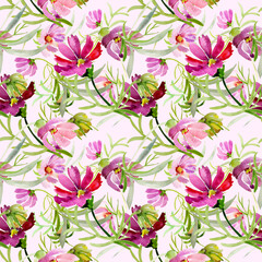 Garden flowers.Seamless pattern.Image on a white and colored background. - 585017378
