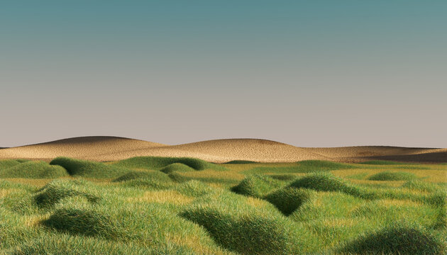 Minimal grass landscape