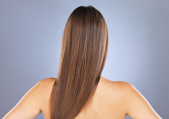 Fototapeta premium Woman back, beauty and hair care in studio for texture, growth and healthy shine on blue background. Aesthetic female model for haircare, wellness and results for salon or hairdresser treatment space