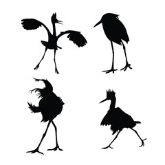 silhouettes of birds vector eps 10