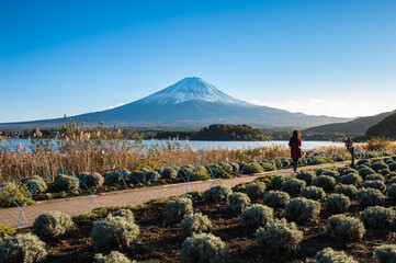 landscape with mountains and blue sky