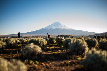 landscape in the morning