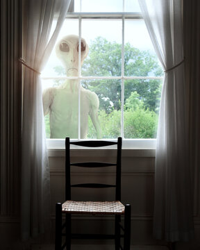 Alien Extraterrestrial at Window
