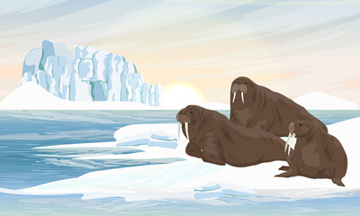 A group of walruses is resting by the sea. Wildlife of the Arctic. Realistic vector landscape