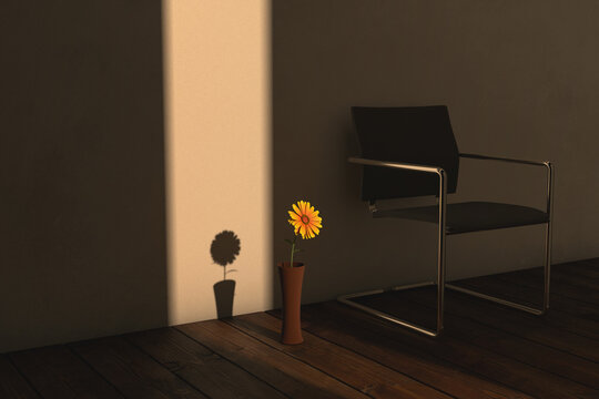A sunlit flower in an interior