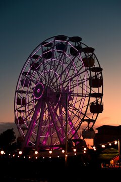 Pink light ferris wheel silhouette at theme park