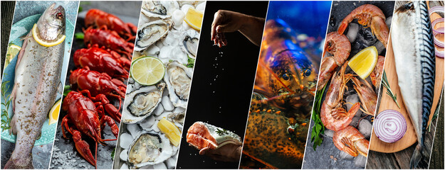 Food collage of Seafood, Fresh fish, crustaceans and shellfish, Long banner format