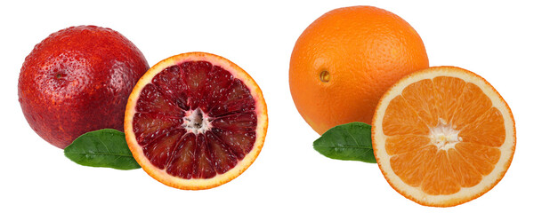 Different color oranges set, detailed retouched