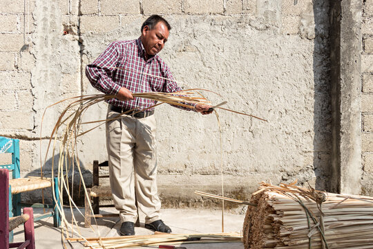 Mexican Artisan Cuts Dry Reed Leaves