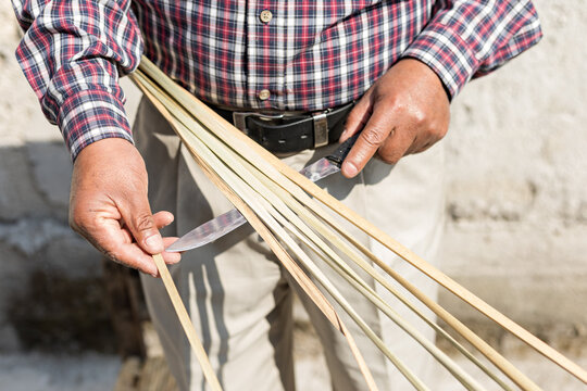 Close Up Of The Hands Of An Artist Cutting Reed Leaves