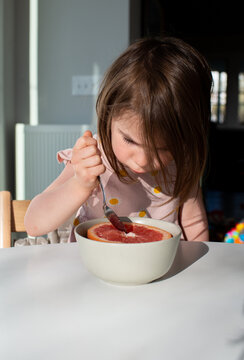 Young Child Uses a Spoon to Eat a Grapefruit at Breakfast