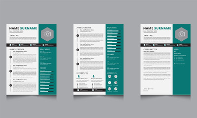 Personal Professional Resume Design CV Template Layout