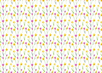 Watercolor seamless floral spring hand drawn pattern with crocuses and daffodils. On a white background.