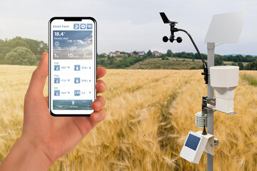 Farmer control weather station via mobile app. Precision and smart farming equipment	