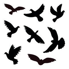 Silhouettes of doves in many different flying positions and angles