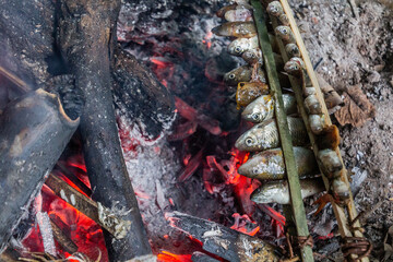 Small fish grilling in the forest near Luang Namtha, Laos