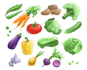 Vegetable set.  Digital illustration