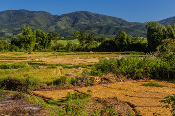 Rural landscape near Muang Sing, Laos