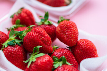 いちご　ふるさと納税　返礼品