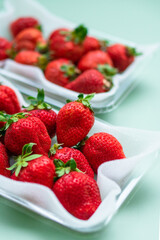 いちご　ふるさと納税　返礼品