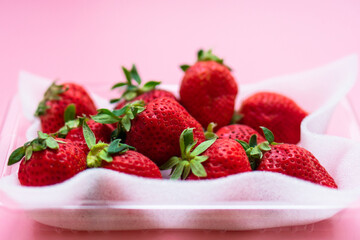 いちご　ふるさと納税　返礼品