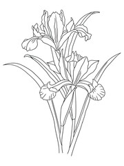 This intricate flower illustration is perfect for coloring enthusiasts of all ages. It features a variety of petals and leaves, ready to be brought to life with your favorite coloring tools.