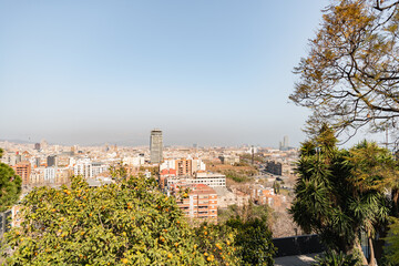 View of Barcelona from above. Brick houses, roofs are visible, trees with leaves are in the foreground. Resort town. Blue sky without clouds.