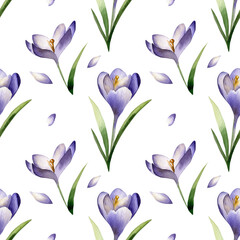 Crocus spring flowers seamless pattern on light violet background. Saffron flower.