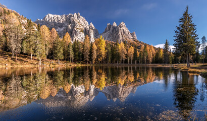  Inckedible autumn scenery with reflections. Amazing autumn landscape in the mountains with yellow larches and lake glowing by sun and high mountain peaks behind. Antorno lake. Picture of Wild area.